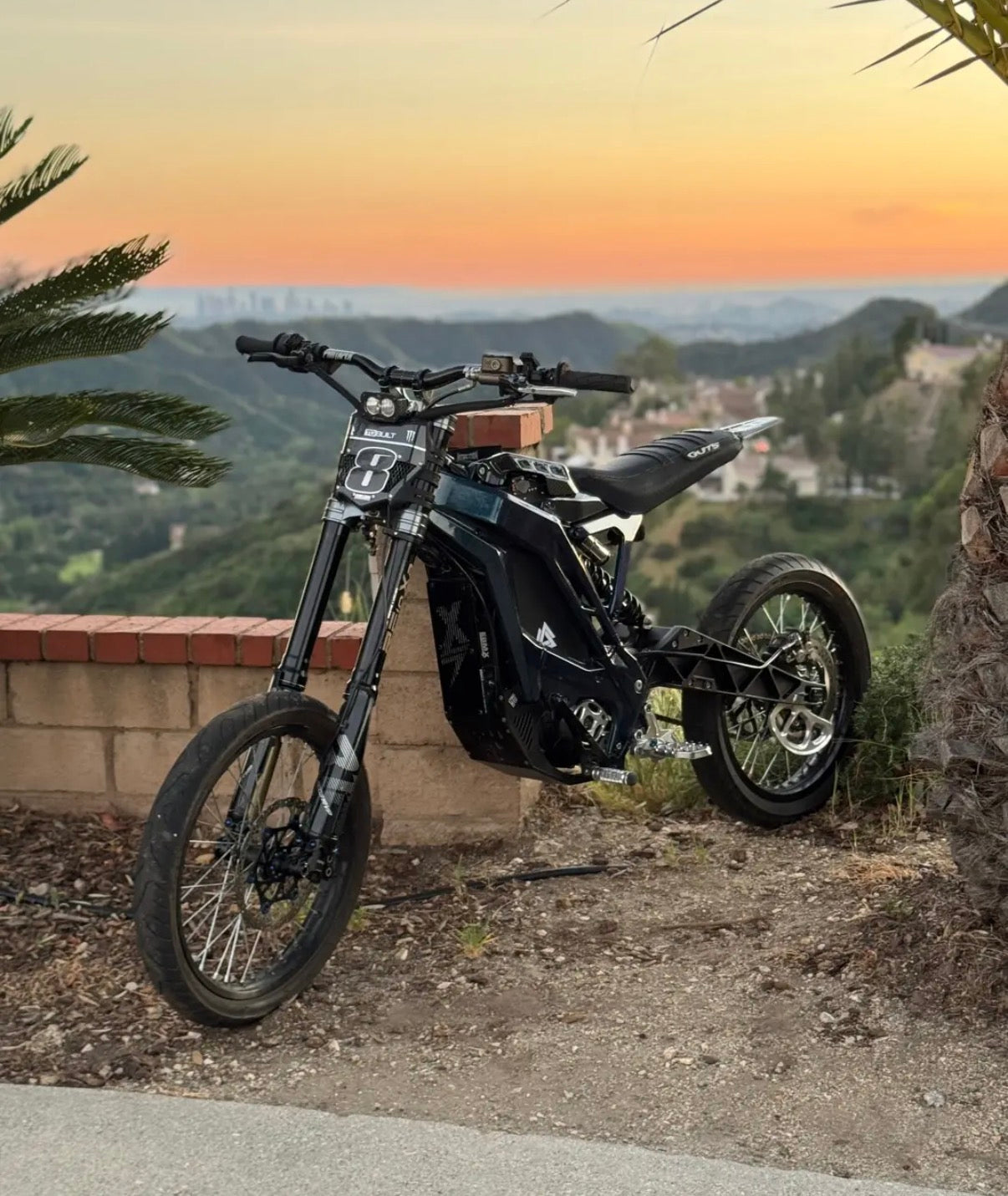 Eride pro SS and SR titanium kit